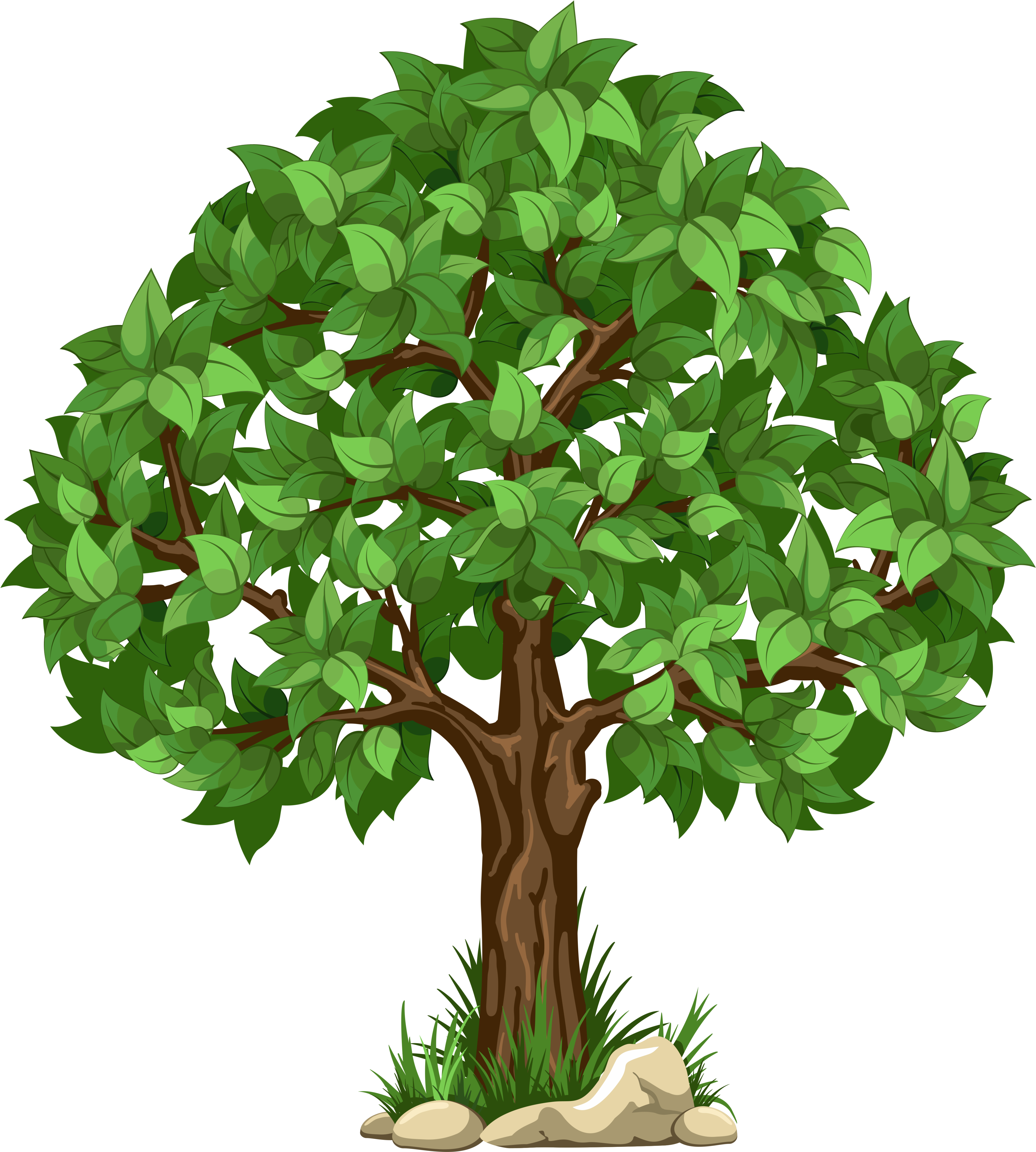 Transparent Tree Png Clipart Picture - Tree Clipart Transparent Background (4800x5274)