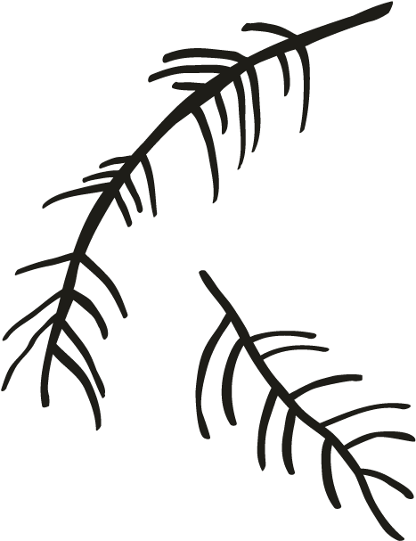 Line Art Drawing Clip Art - Drawing (696x696)
