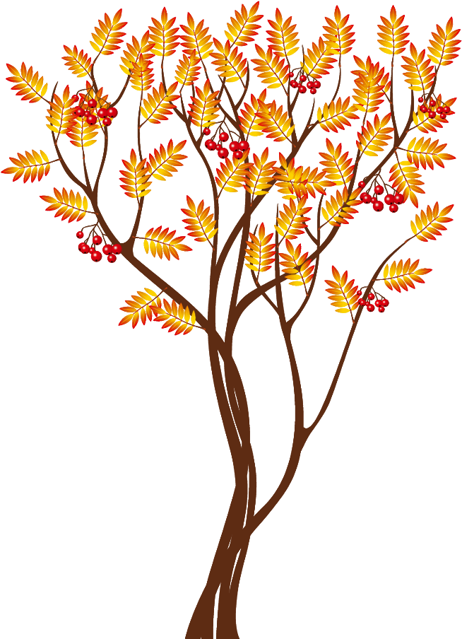 Transparent Autumn Tree Png Clipart Image - Autumn Tree Transparent (718x926)