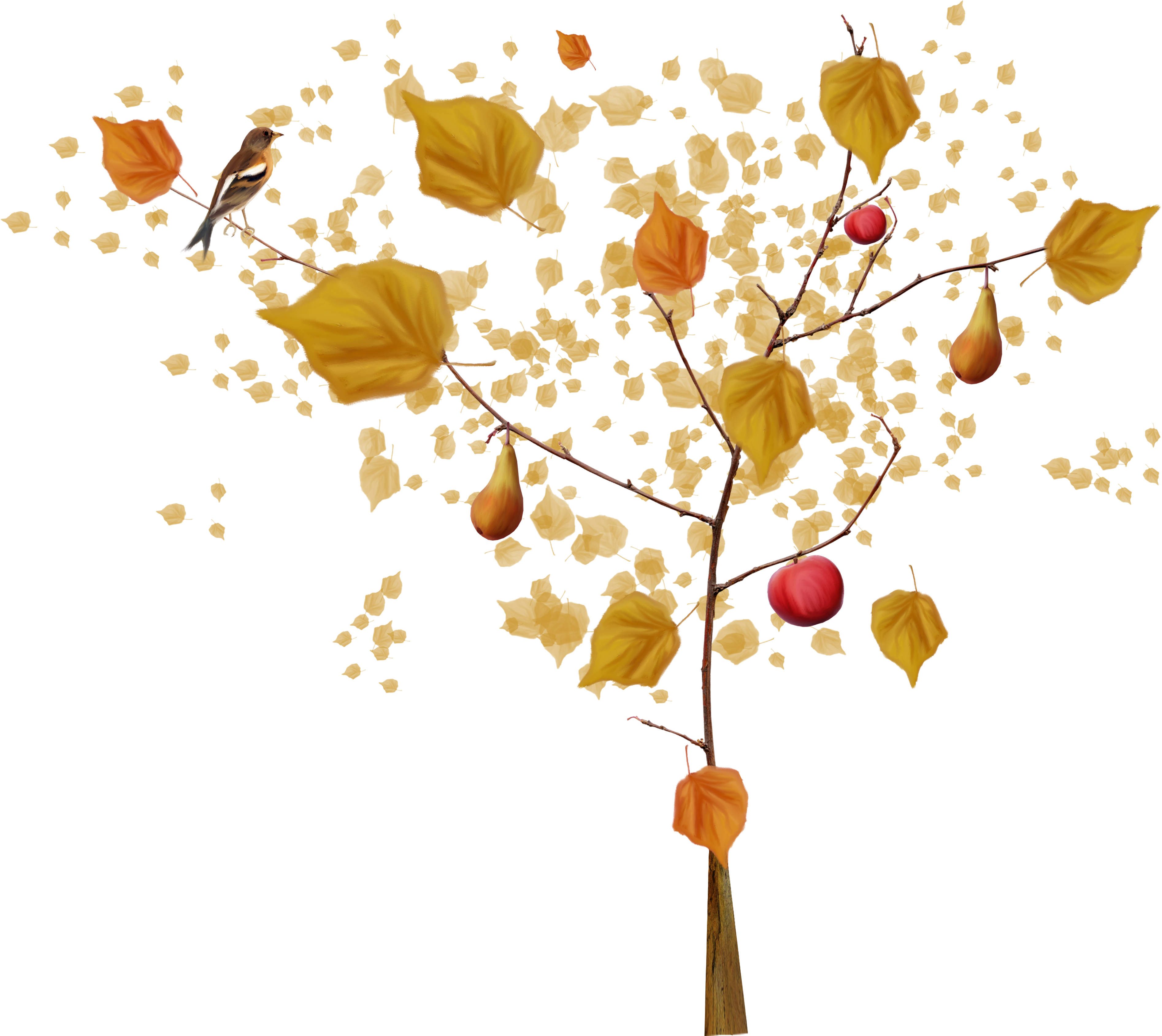 Tree Autumn - Autumn Tree - Tree Autumn - Autumn Tree (4500x3600)