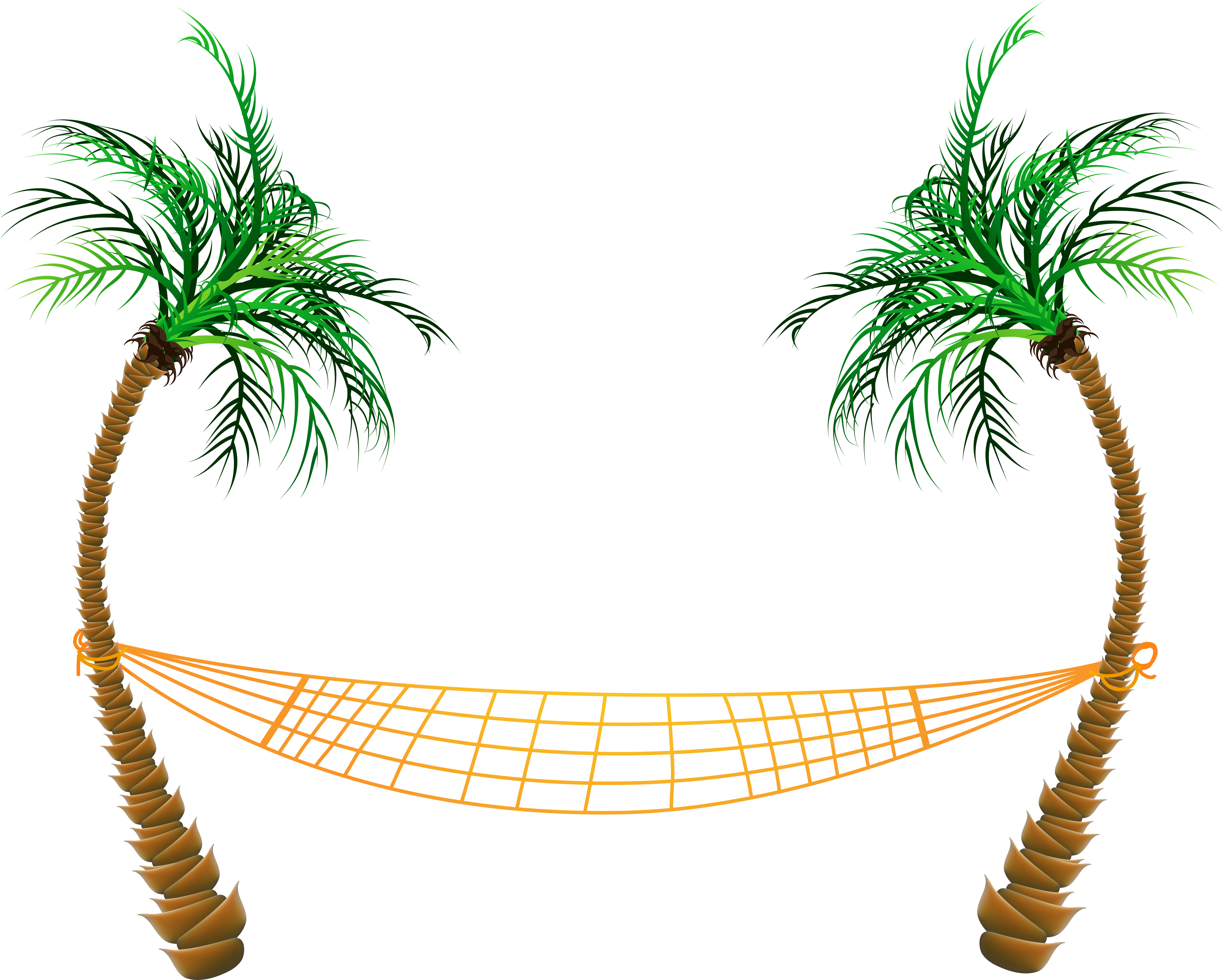 Palm Hammock - - Beach Transparent (6447x5198)