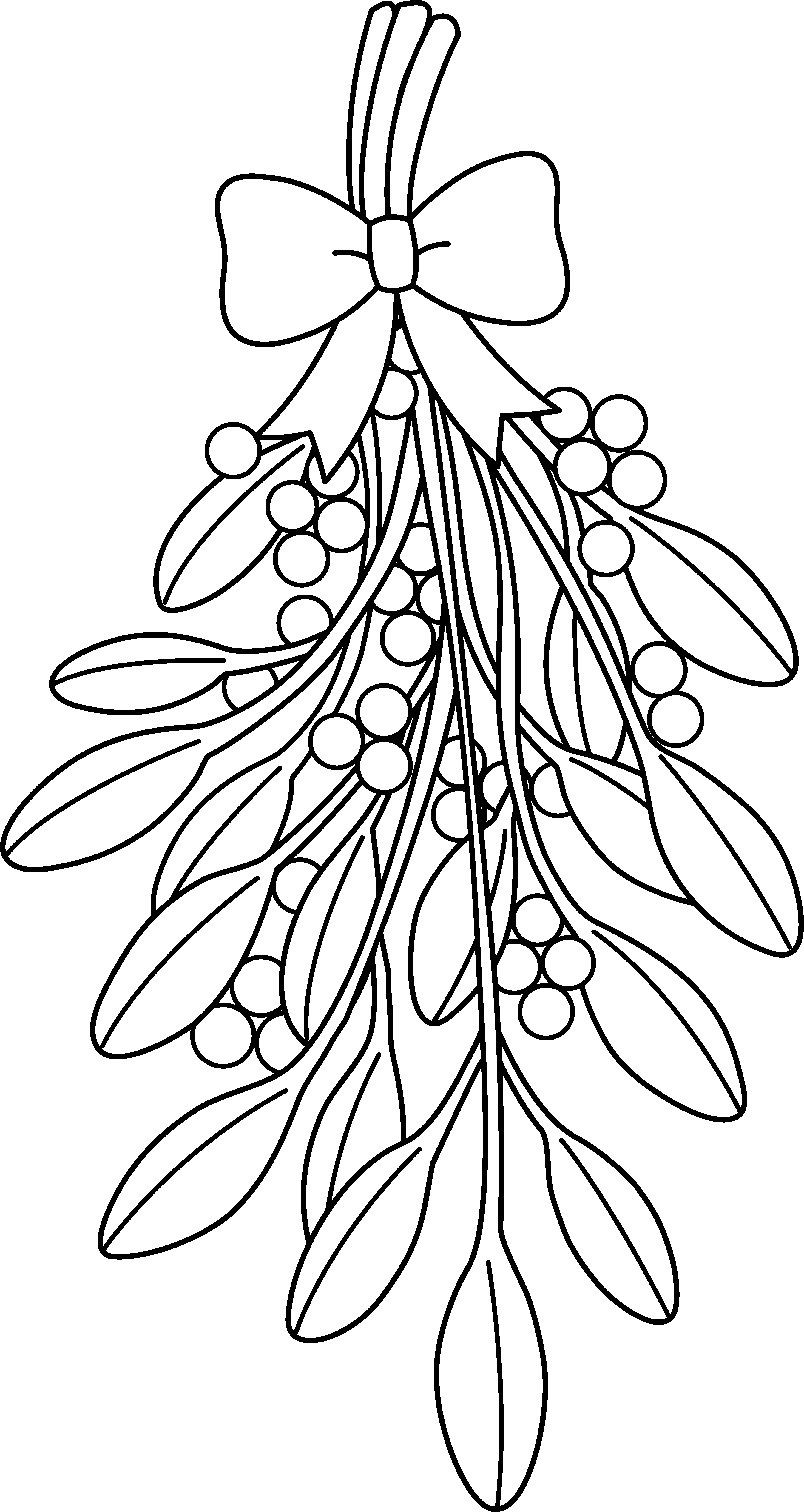 Christmas Mistletoe Line Art - Christmas Mistletoe Coloring Pages (4303x8090)
