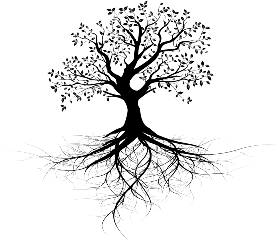 Invest In Ceiba Beach Resort And Residences - Transparent Tree Of Life With Roots (972x877)