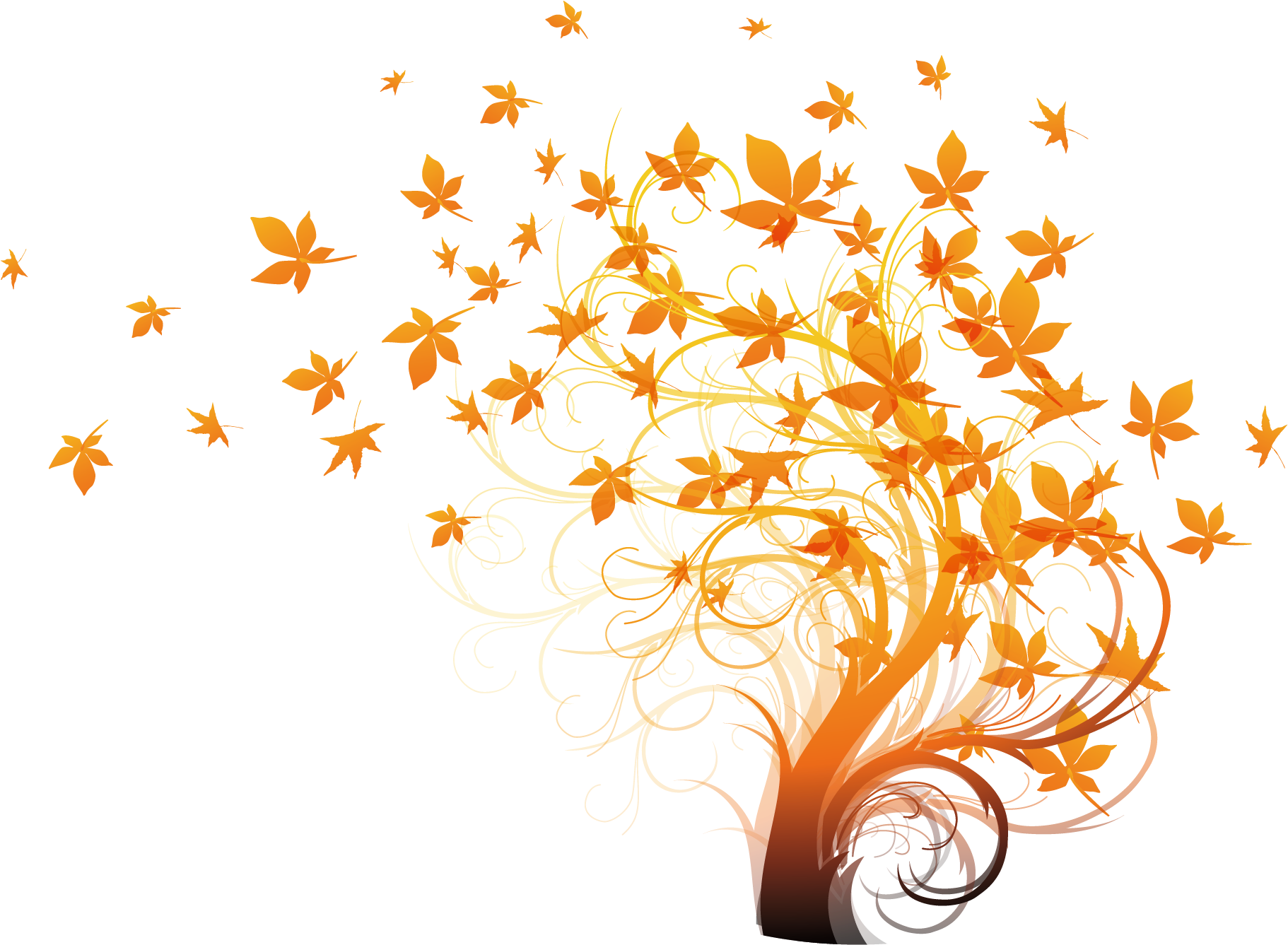 Autumn Leaf Color Royalty-free Illustration - Autumn Leaf Color Royalty-free Illustration (2126x2126)