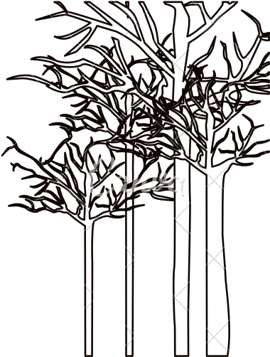 Leafless Forest Trees Icon - Icon (550x550)
