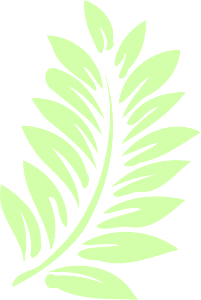 Palm Leaf Clip Art At Clipart Library - Draw A Palm Branch (396x592)