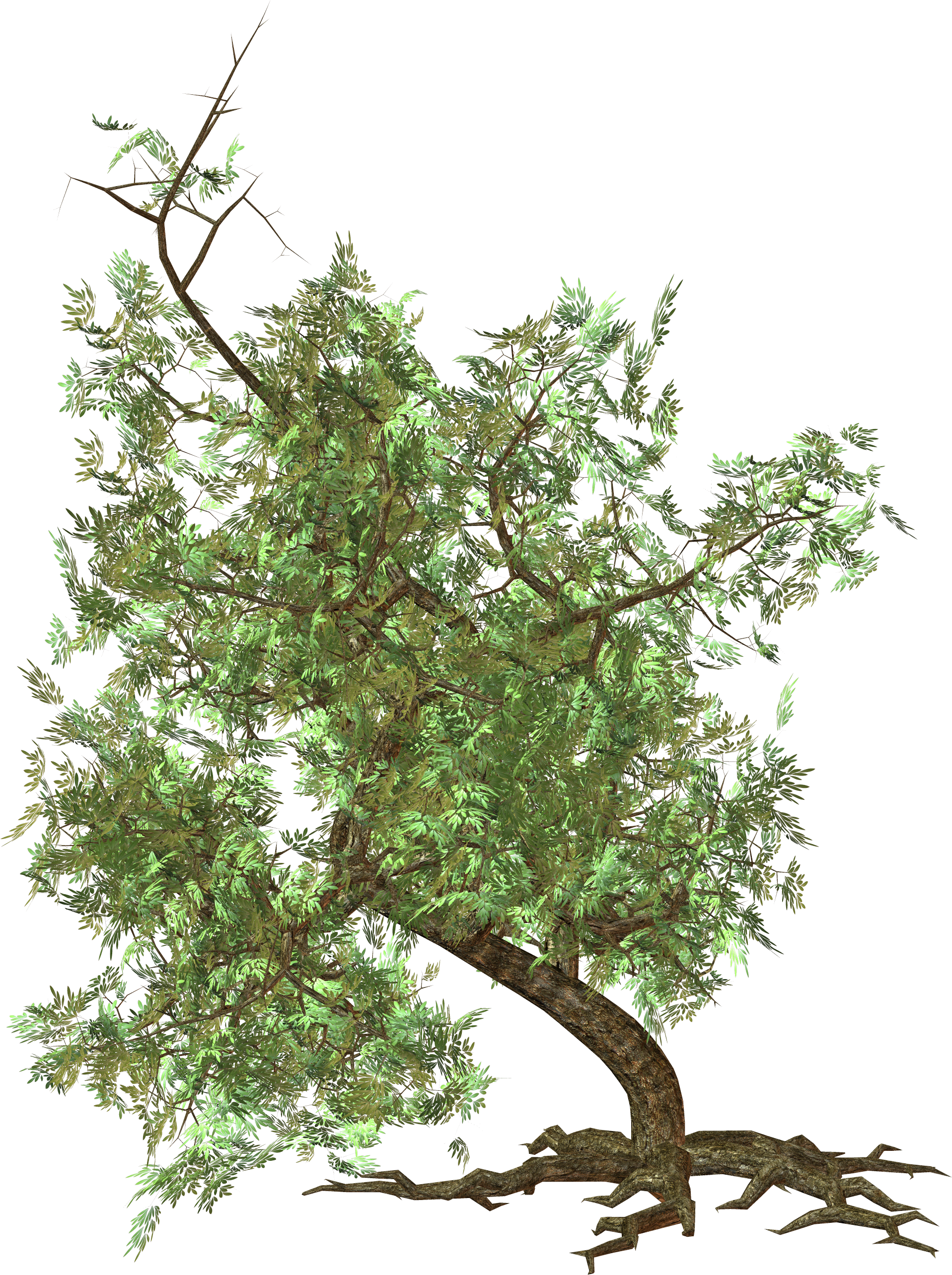 Download - Saving Nature. Wall Clock - By Viviana Gonzalez (1917x2568)