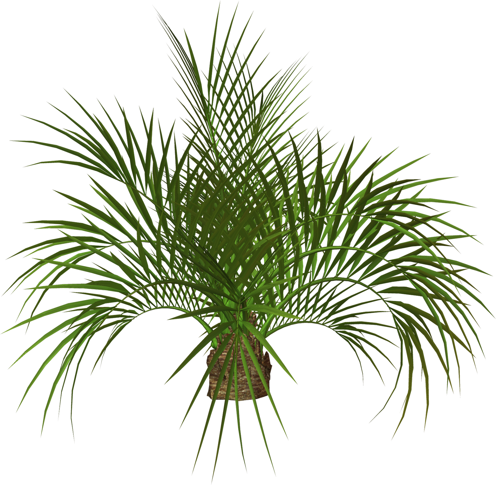 Palm Tree Clip Art - Flower Tree Png Hd (1600x1566)