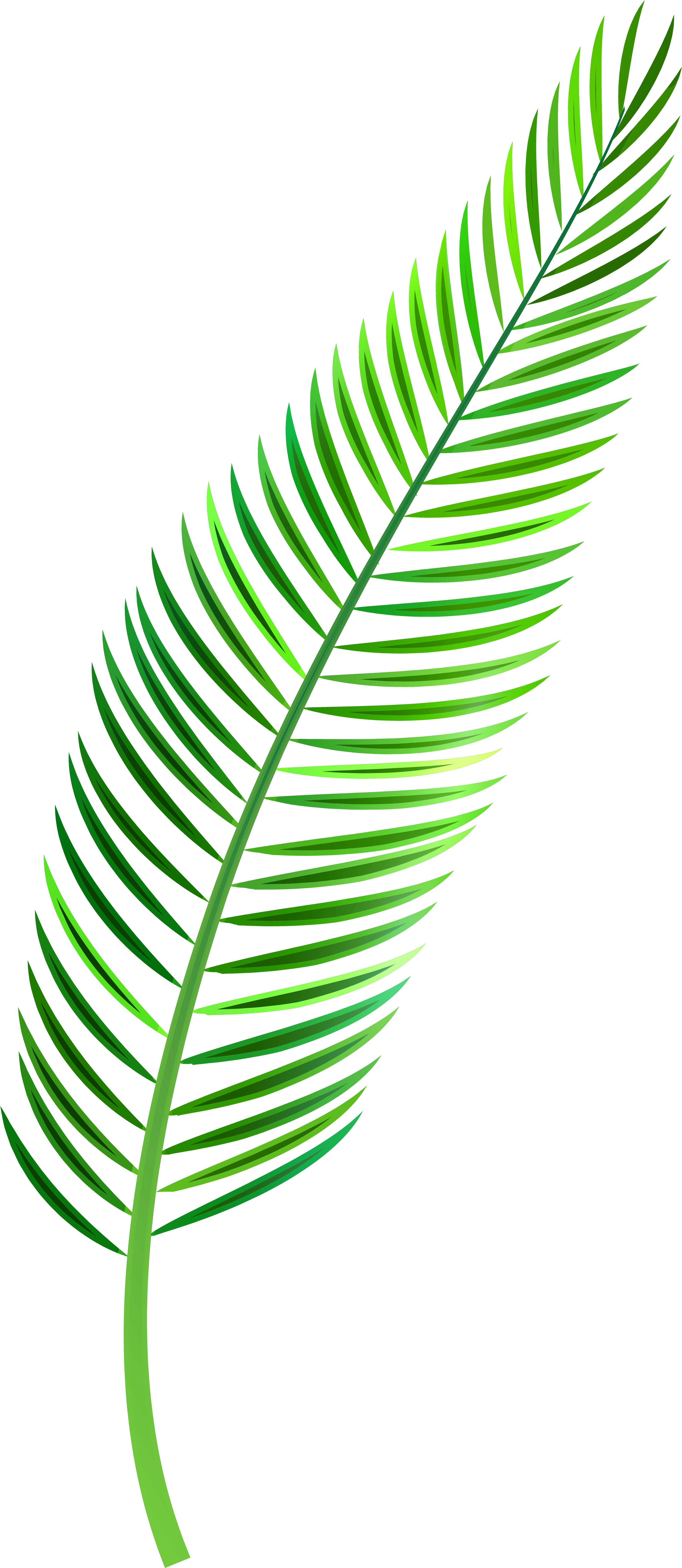 Palm Sunday Clipart - Palm Leaf Watercolor Png (3743x8000)
