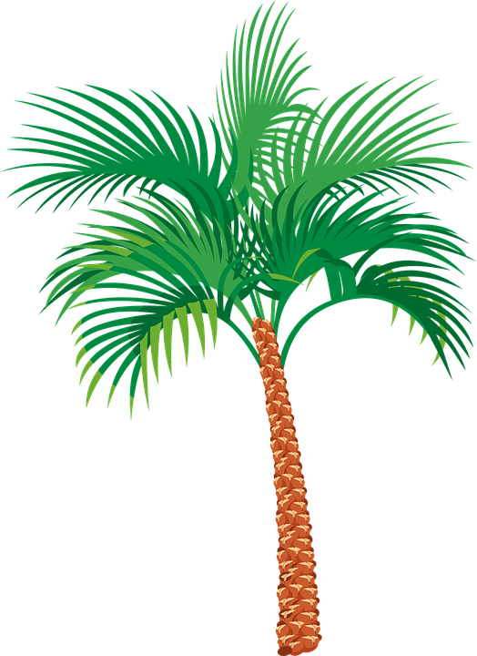 Palm Sunday Clipart 12, - Dates Tree Vector Png (524x720)