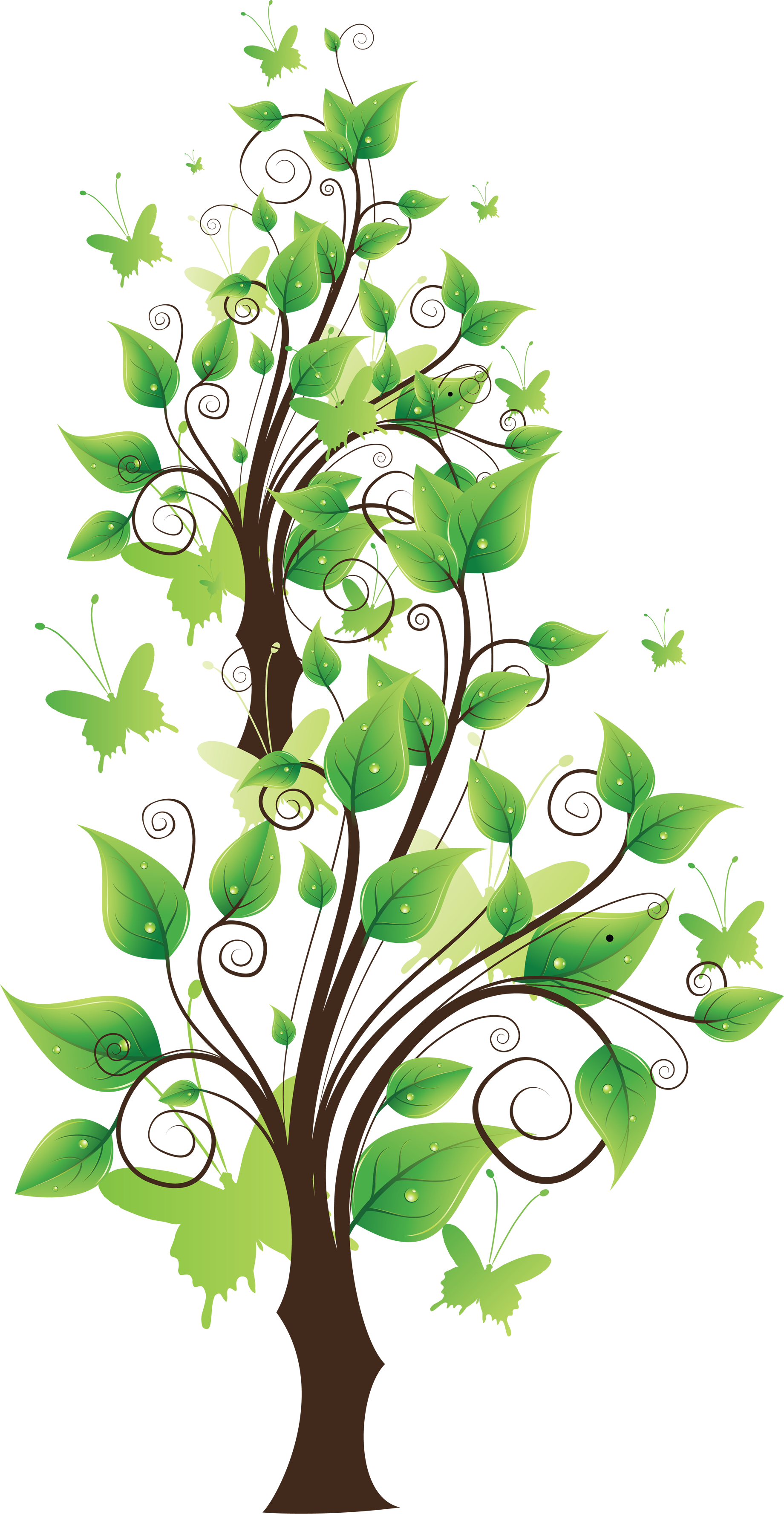 Tree Png Image - Tree Png Clipart (1840x3552)