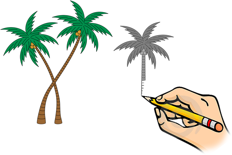 Coconut Tree Clipart 26, - Roman Catholic Diocese Of Lucena (787x531)
