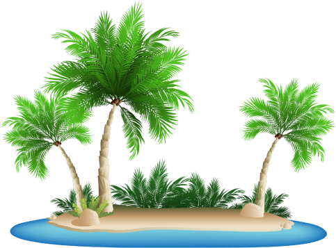 Palm Tree Png Clipart - Palm Tree Beach Clipart (500x375)