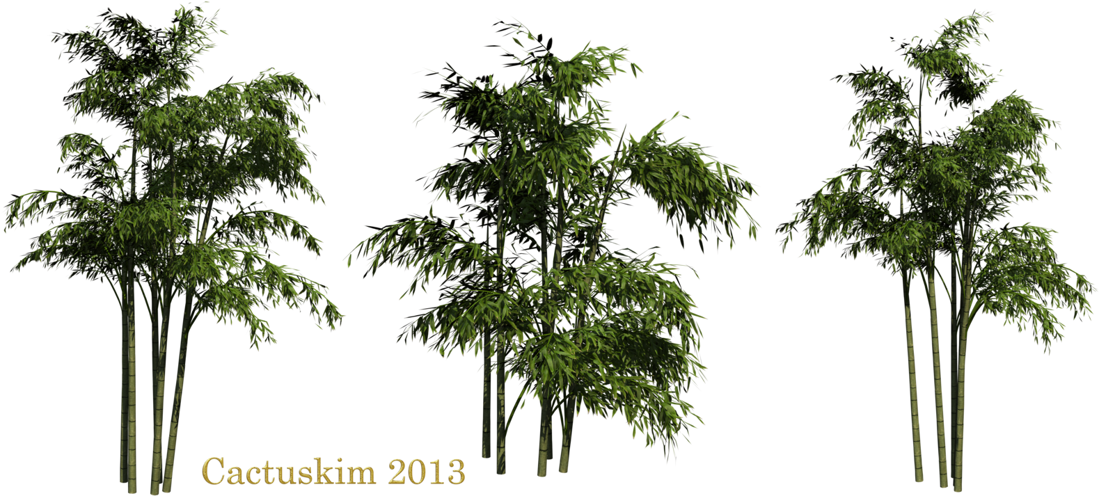 Bamboo Png Clipart - Bamboo Png (1600x715)