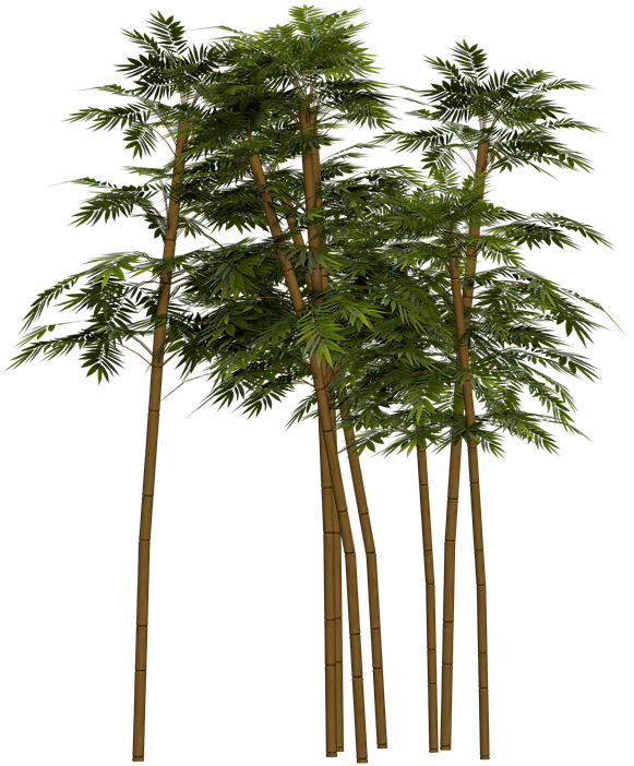 Plants Png - Vintages Art-bambuskissen Kissen (960x720)