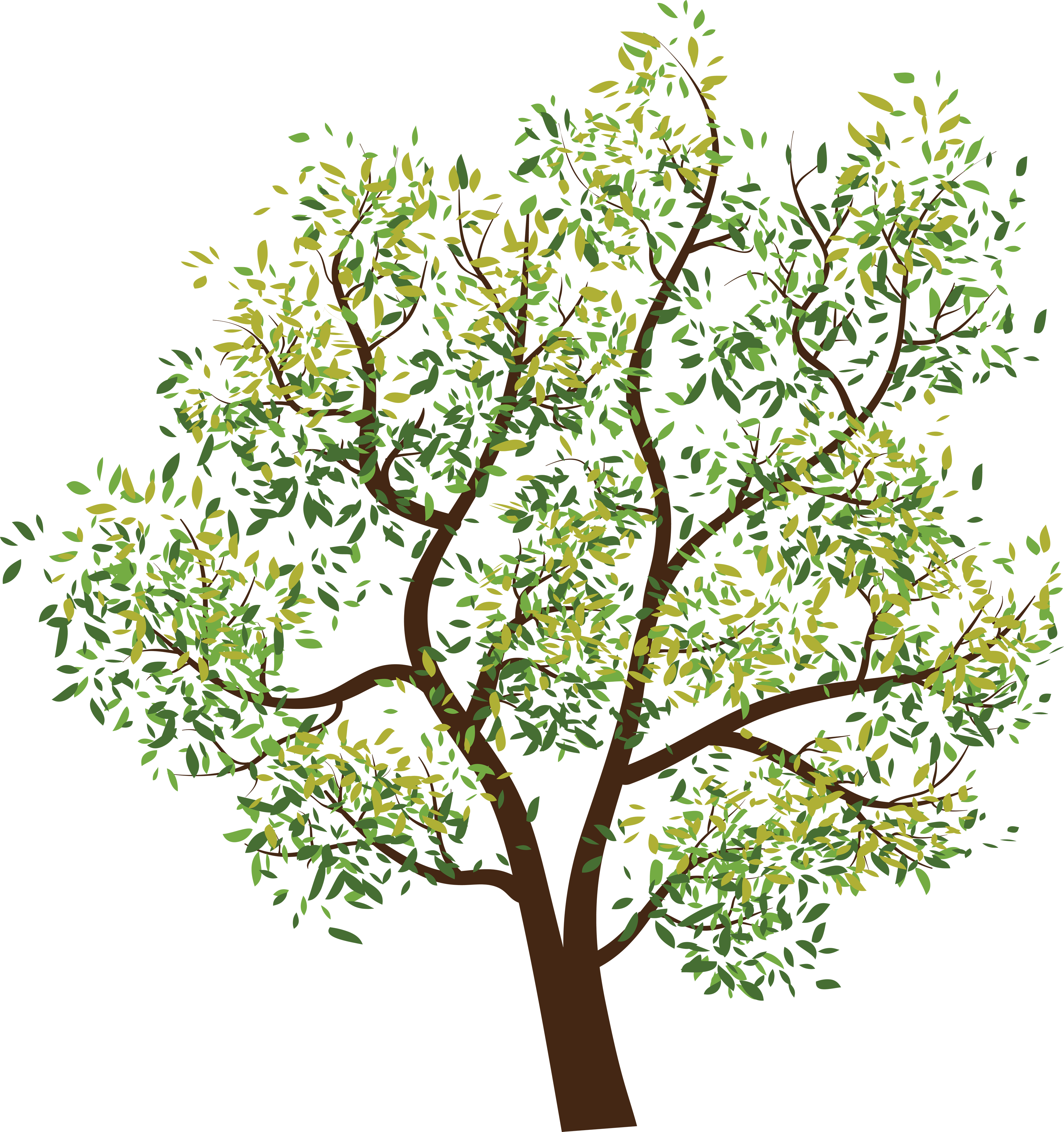 Attibution Is Required- In Order To Use A This Photo - Tree Clipart Png (3520x3745)
