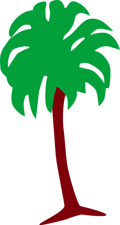 Palm Tree Clip Art 20, - Clip Art (384x720)