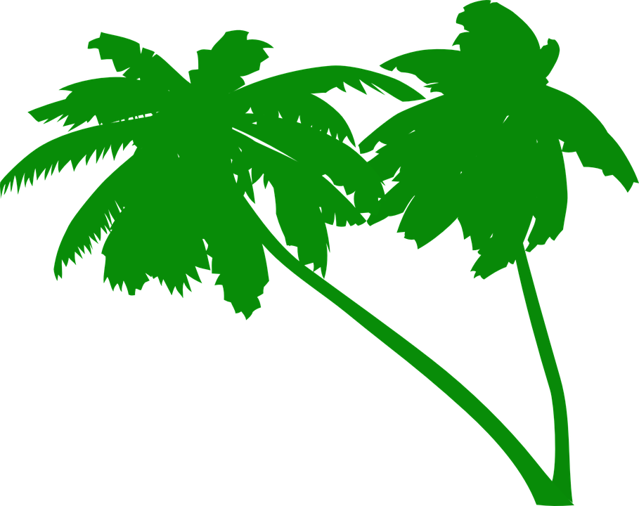 Palm Tree Vector 15, Buy Clip Art - Green Palm Tree Vector (1280x1014)