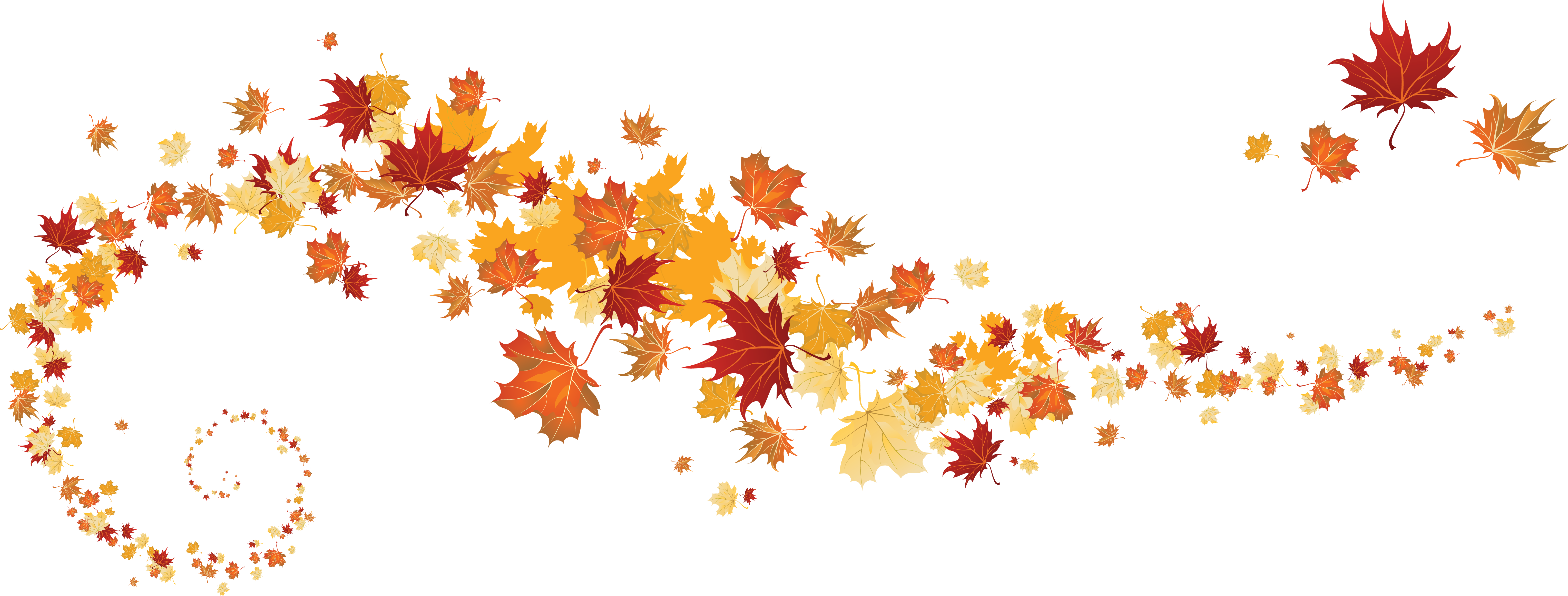 Maple Leaf Autumn Leaf Color - Maple Leaf Autumn Leaf Color (6112x2326)
