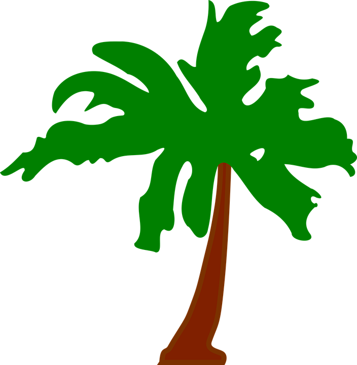 Palm Tree Graphics 29, Buy Clip Art - Flag: Cocos (keeling) Islands (704x720)