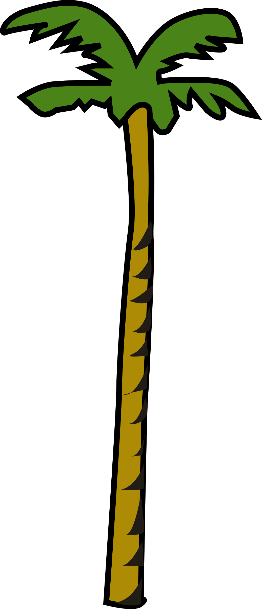 Palm Tree Clip Art Download - Coconut Clip Art (1035x2400)