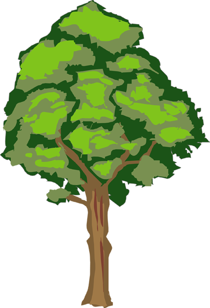 No03木 - Oak (428x629)