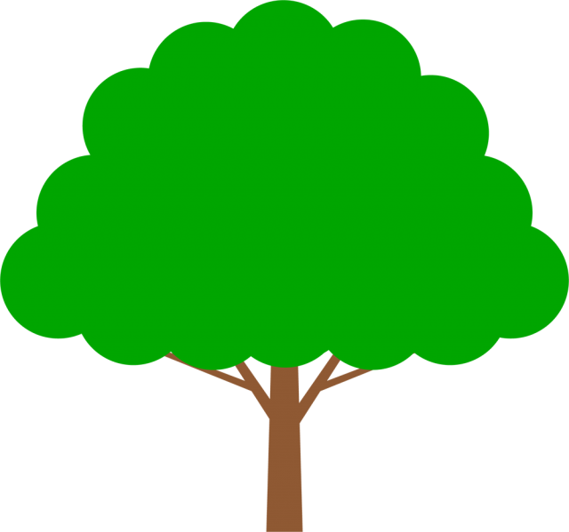 シンプルな木（csai・png） - 木 イラスト Png (640x599)