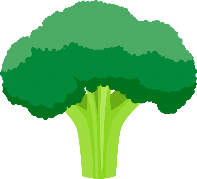 ブロッコリーアイコン（csai・png） - 木 イラスト フリー Png (640x582)