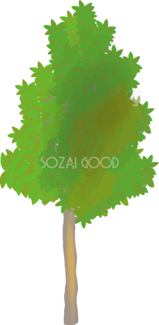 シンプルな木 月桂樹の無料イラスト81518 - Illustration (323x660)