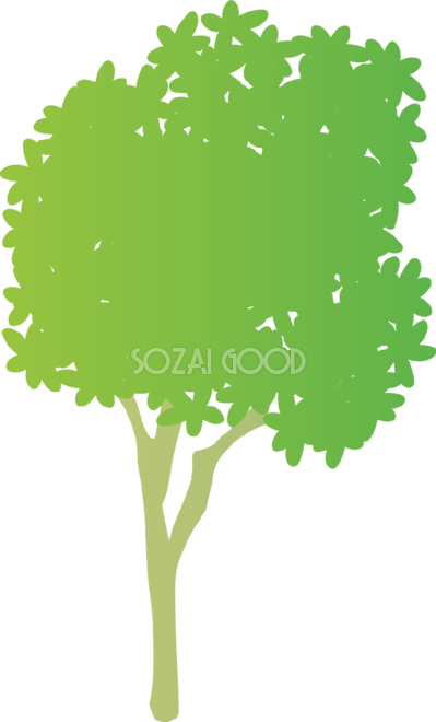 おしゃれな木 タイサンボク無料イラスト81485 - Illustration (399x660)