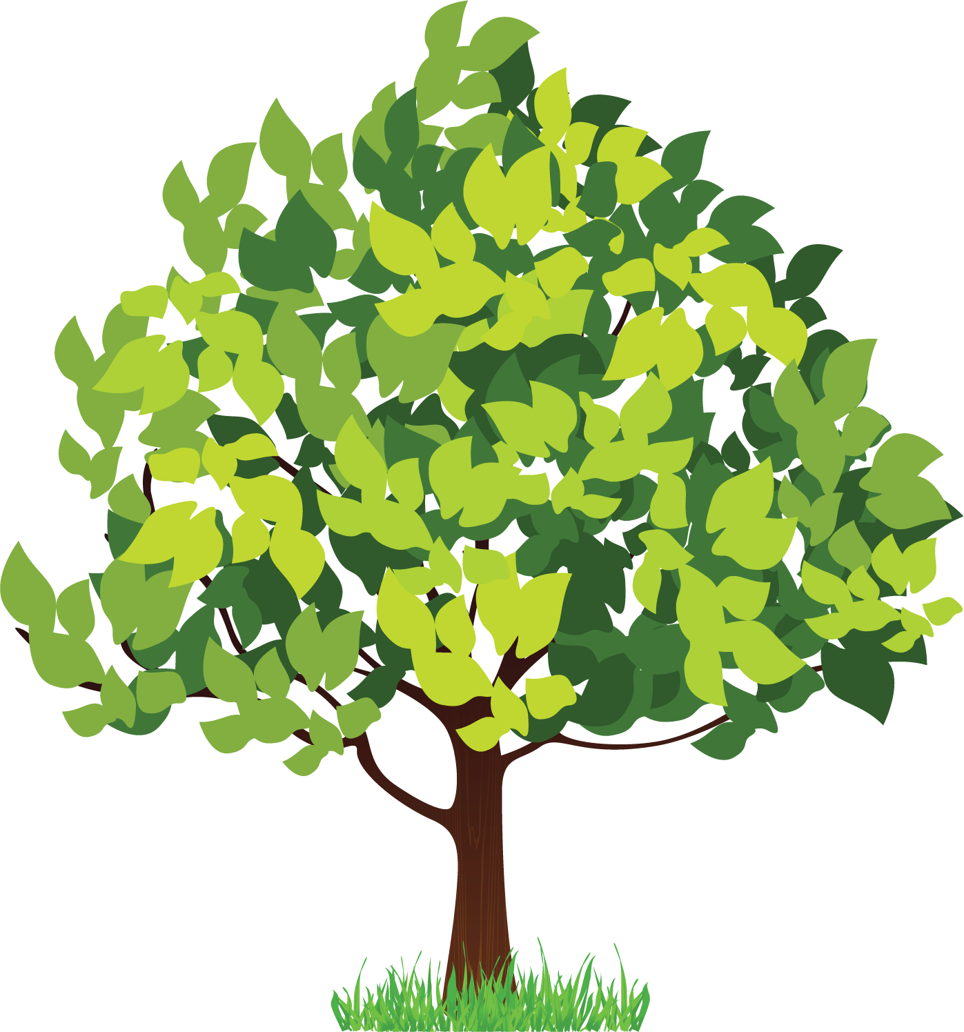 Png形式でダウンロード - Four Season Tree Clipart (1397x1496)
