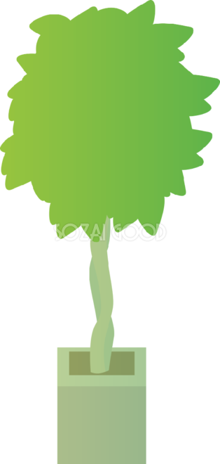 おしゃれな木 ベンジャミン無料イラスト81488 - Illustration (314x660)