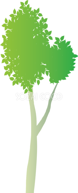 おしゃれな木 白樺の無料イラスト81489 - Tree (268x660)