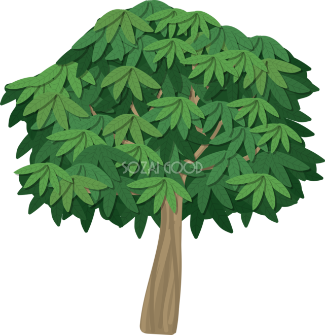 木 シンプルなしげる木 無料イラスト82056 - Maple Leaf (641x660)