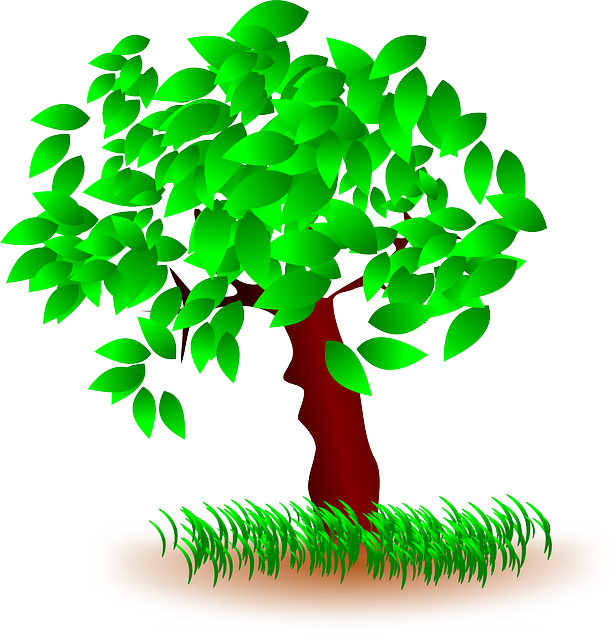 Free Photo Light Landscape Tree Nature Autumn Wood - Grass And Tree Clipart (615x640)