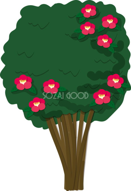 木 シンプルなつばき 無料イラスト82064 - Illustration (454x660)