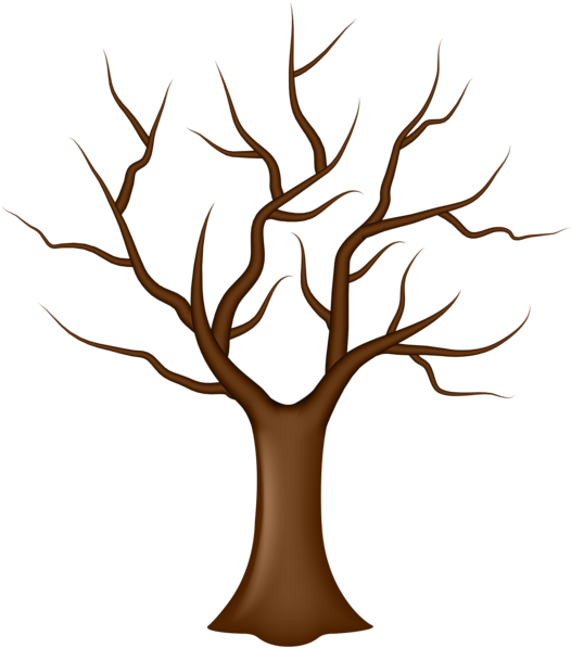Tree Without Leaves Clipart - Tree No Leaves Clipart (532x600)