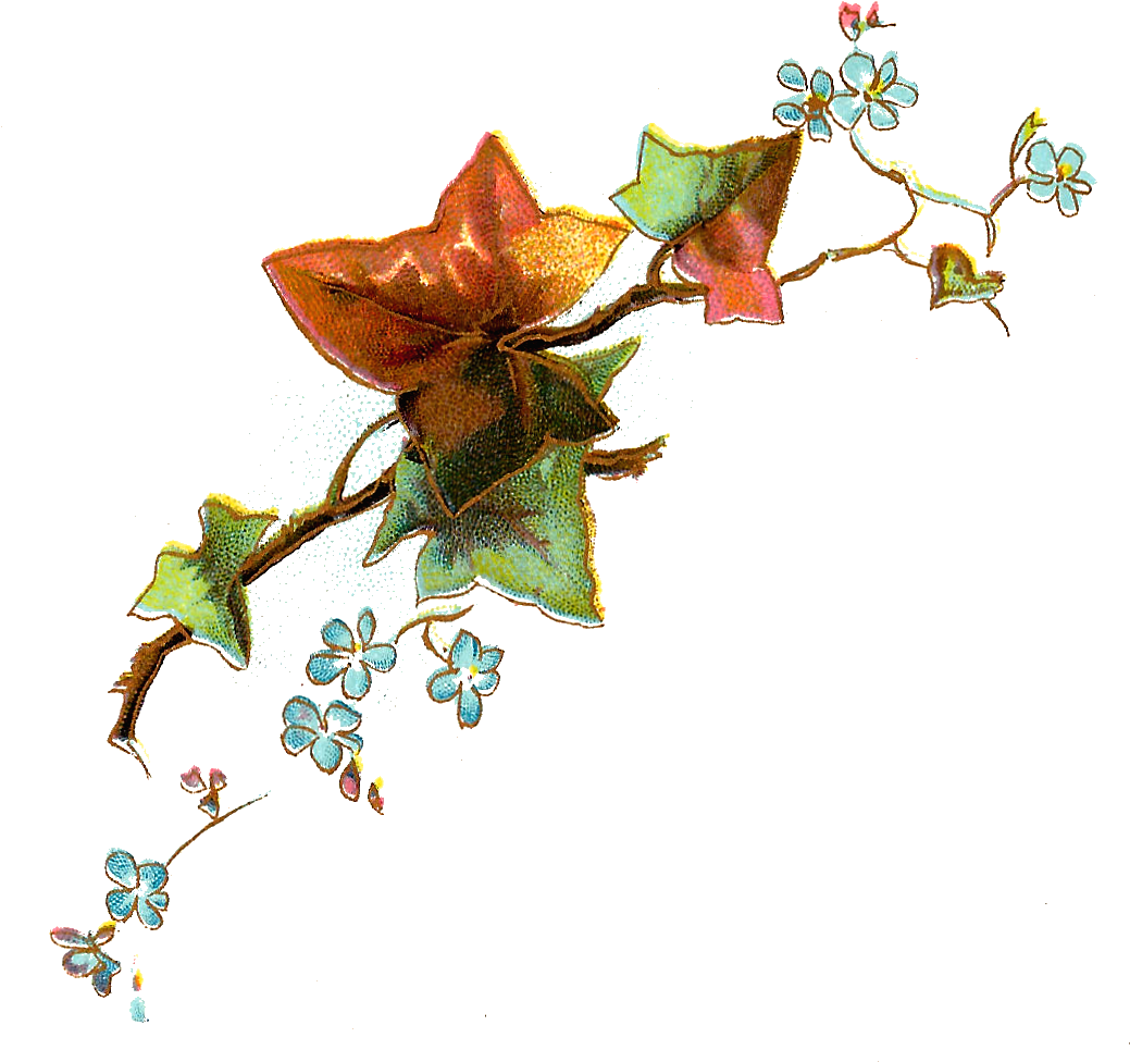 Flower - Vintage Leaf Art Png (1115x1054)