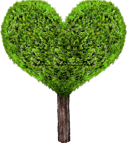 Green Heart Tree Png - Heart Tree Png (800x600)