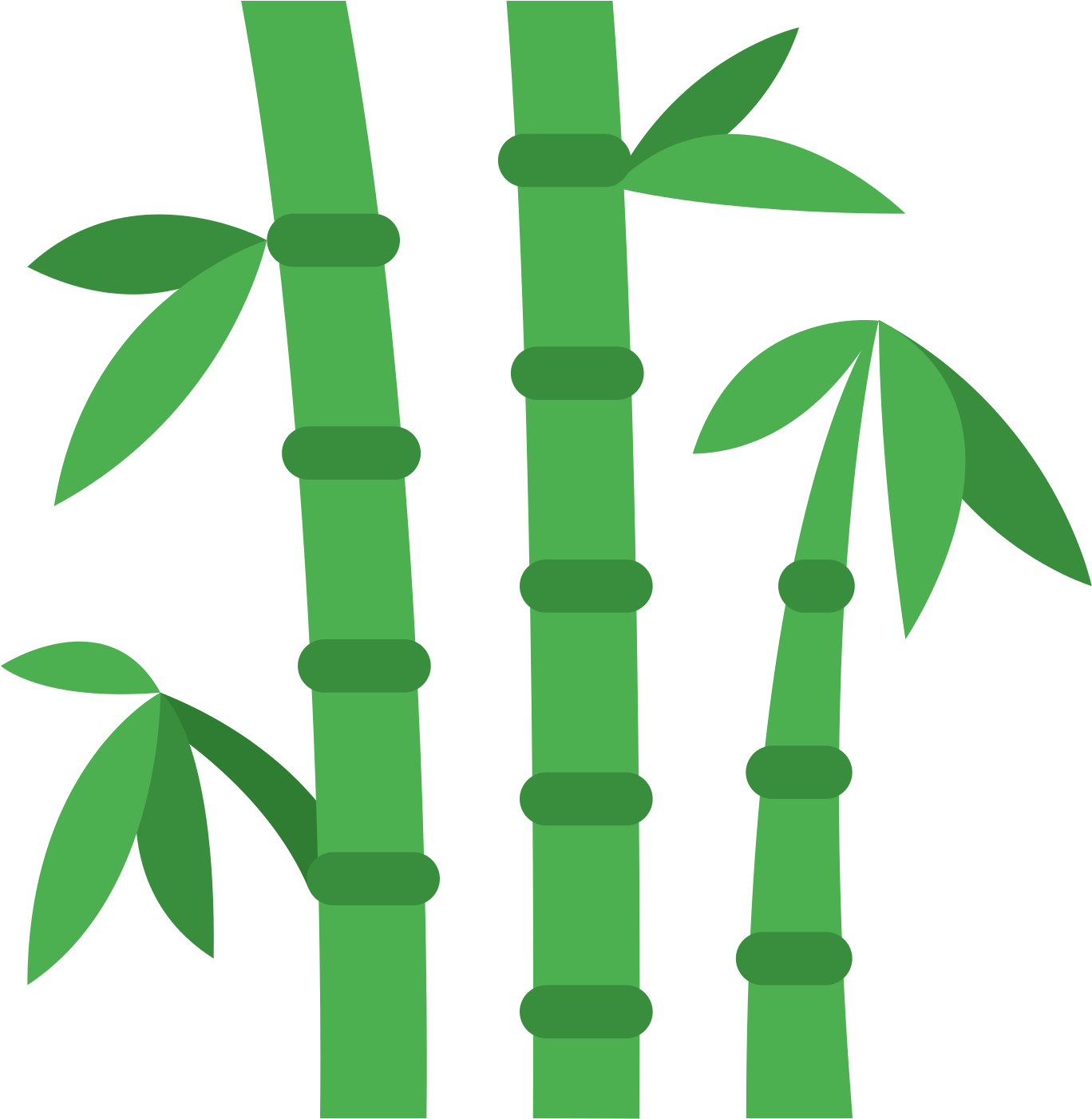 Bamboo Png Images Transparent Free Download Pngmart - Bamboo Png (1600x1600)