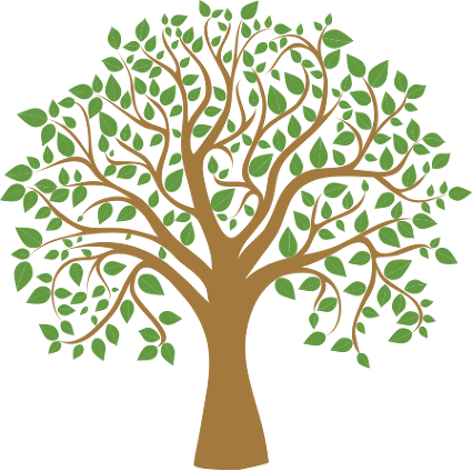 Tree Graphic - Maison Du Mezze Logo (425x424)