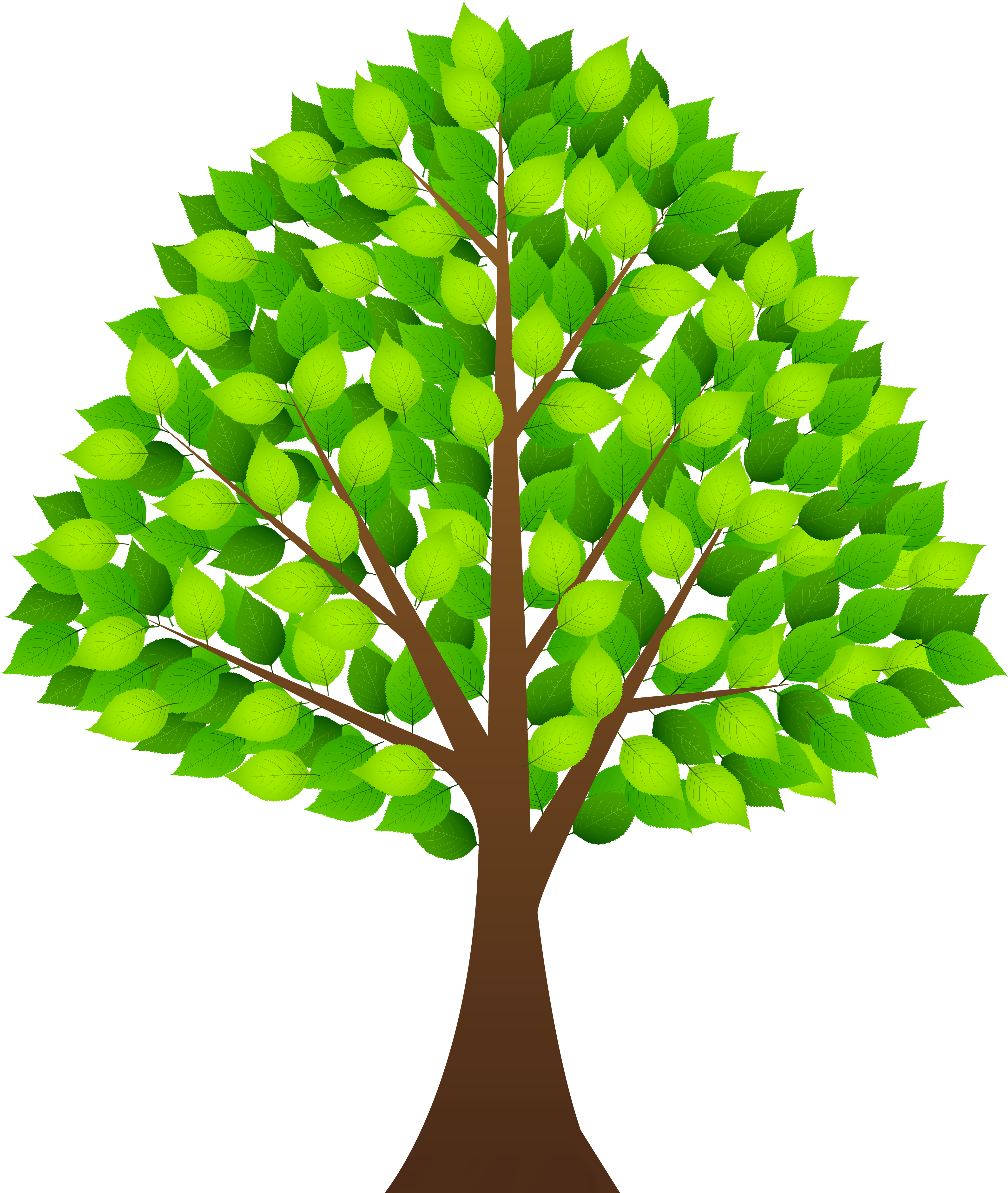 Transparent Tree Clipart - Tree Clipart Transparent Background (4303x5000)