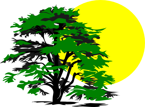 Sunshine Clipart Tree - Tree And Sun Clip Art (600x442)