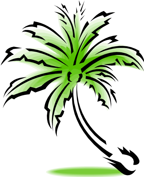 Our Office Is Located At - Palm Tree Clip Art (482x592)