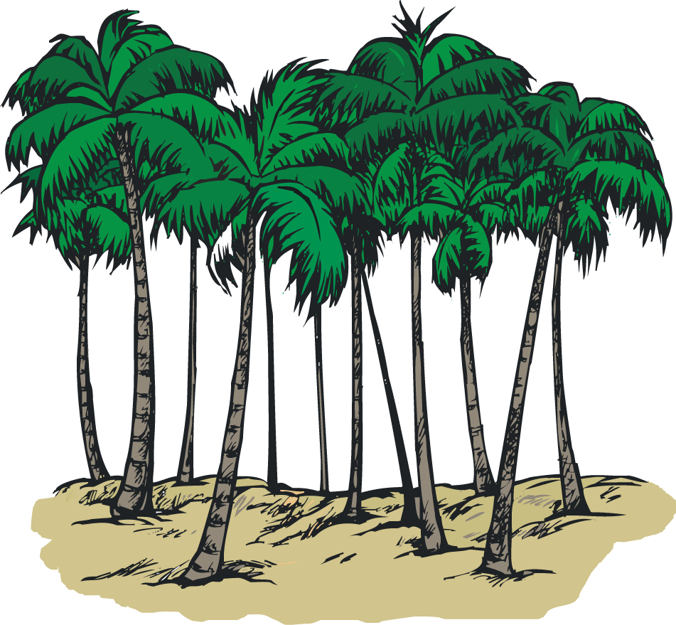 Palm Tree Clipart Group - Clipart Group Of Trees (951x879)