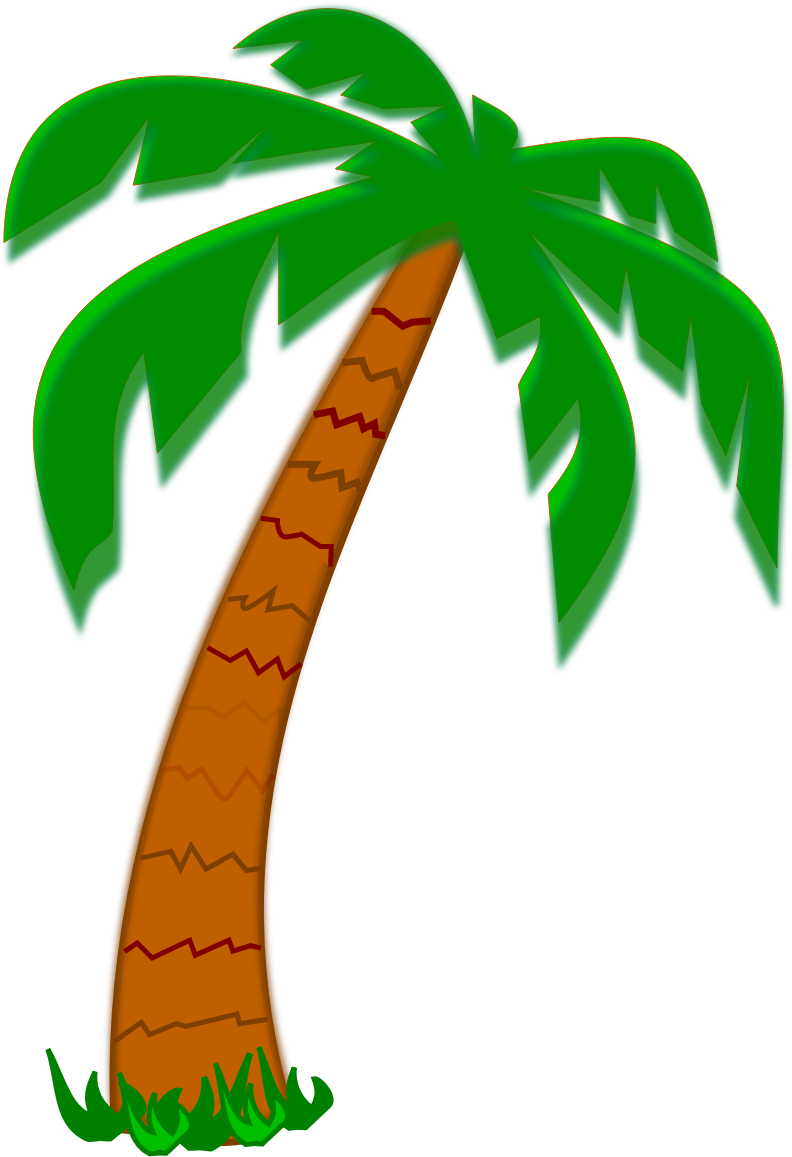 Date Palm Tree Clipart - Palm Tree Cartoon Drawing (1600x1200)