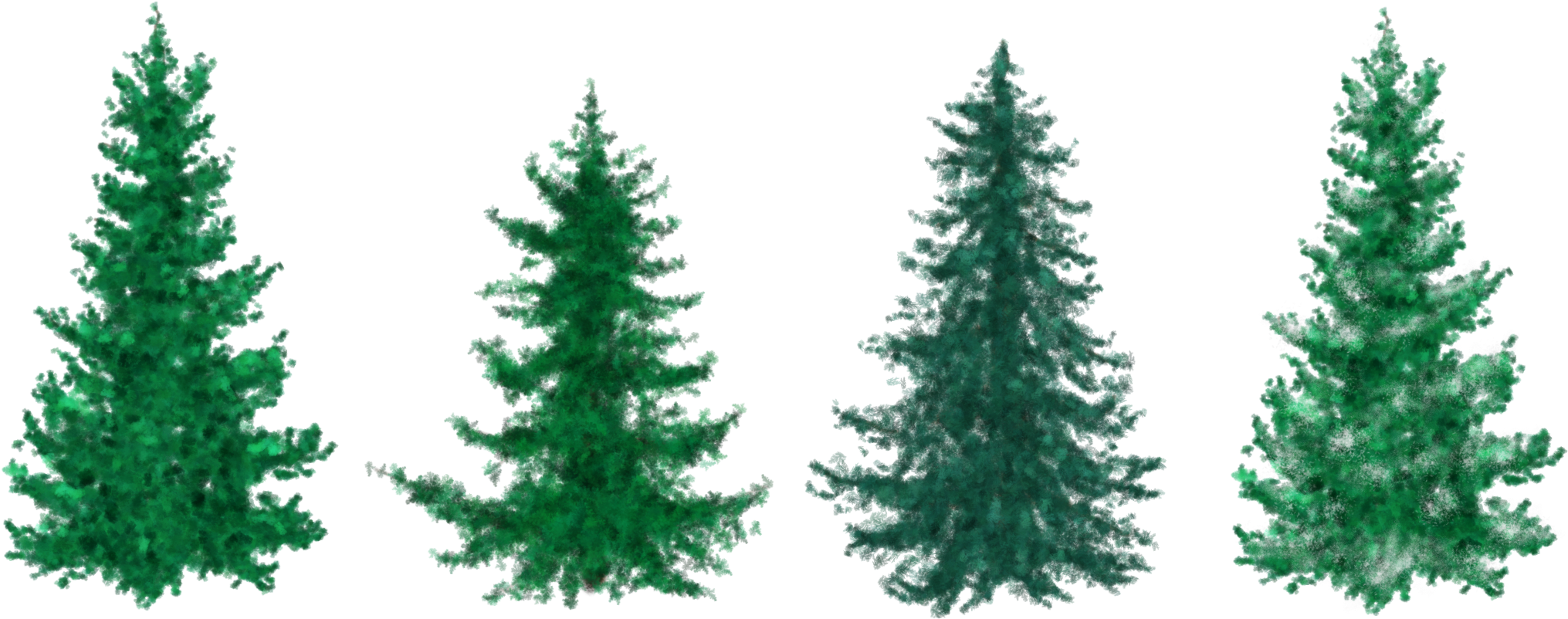 Fir Tree Clipart Group Tree - Christmas Tree Clip Art (2160x1050)