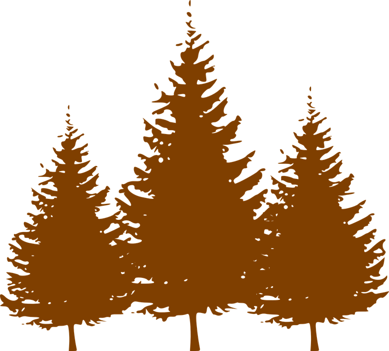 Winter Trees Cliparts 28, - Pine Tree Silhouette Vector (798x720)