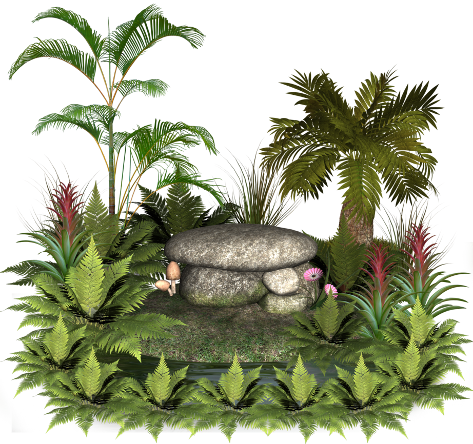 Group Of Plants Clipart - Rocks And Plants Png (922x866)