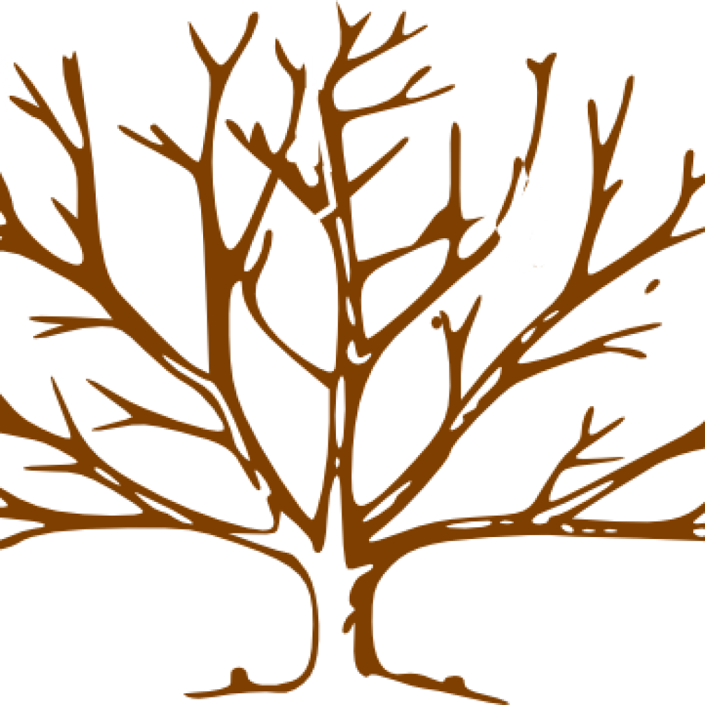 Bare Tree Clipart Brown Tree Clip Art At Clker Vector - Tree Outline (1024x1024)
